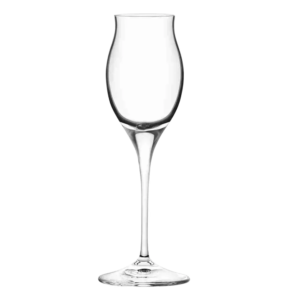 Calici Liquore Invino Spirits in vetro 10 cl