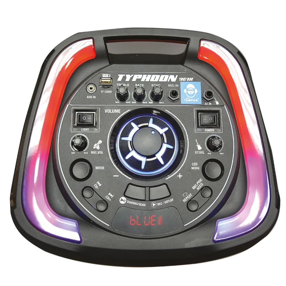 Speaker Bluetooth Altoparlante Wireless con Luci RGB Typhoon 901X